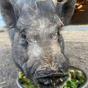 Meet your Posher, Mat